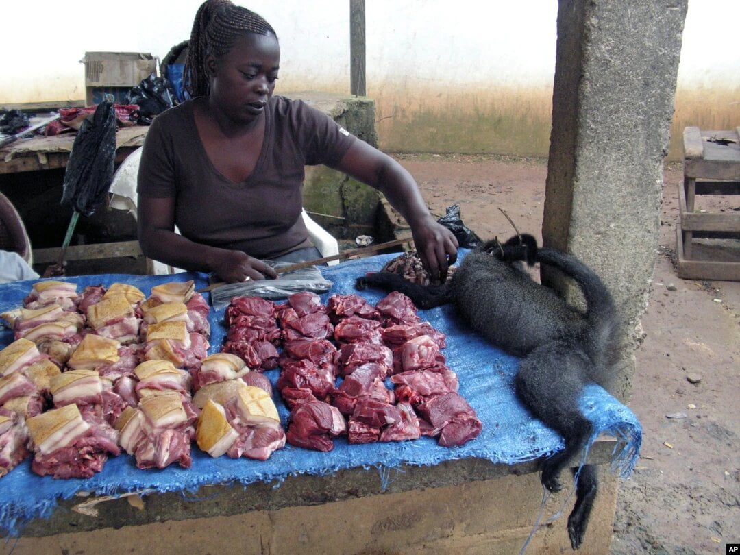 Monkeypox : Le Nigeria interdit la vente de viande de brousse