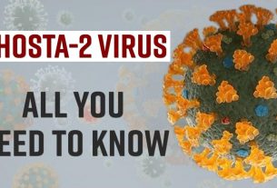 Khosta-2 : ce que l'on sait sur ce virus russe proche du Covid-19