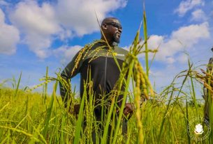 Mamadi Doumbouya montre sa plantation de 59 hectares, un opposant parle de spoliation
