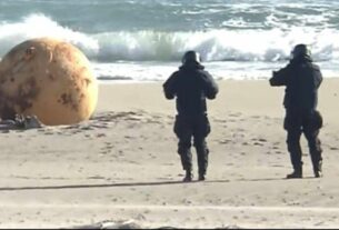 Japon : Une sphère métallique échouée sur une plage