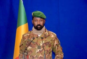 4 choses à savoir sur Assimi Goita, le président de la transition malienne