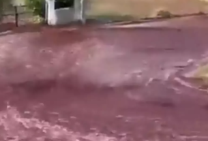 Portugal : un village inondé par plus de deux millions de litres de vin
