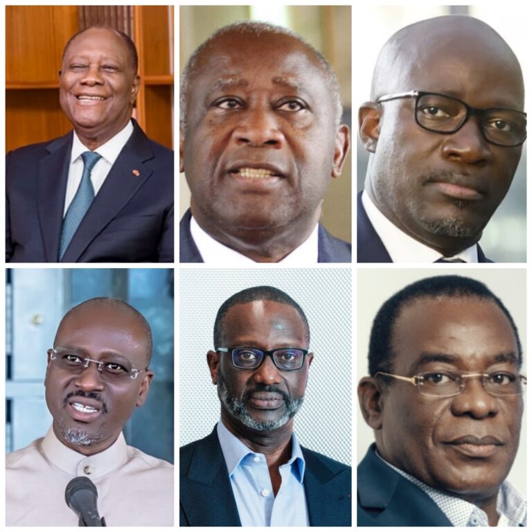 Côte d’ivoire : ces candidatures déjà déclarées pour la présidentielle ...