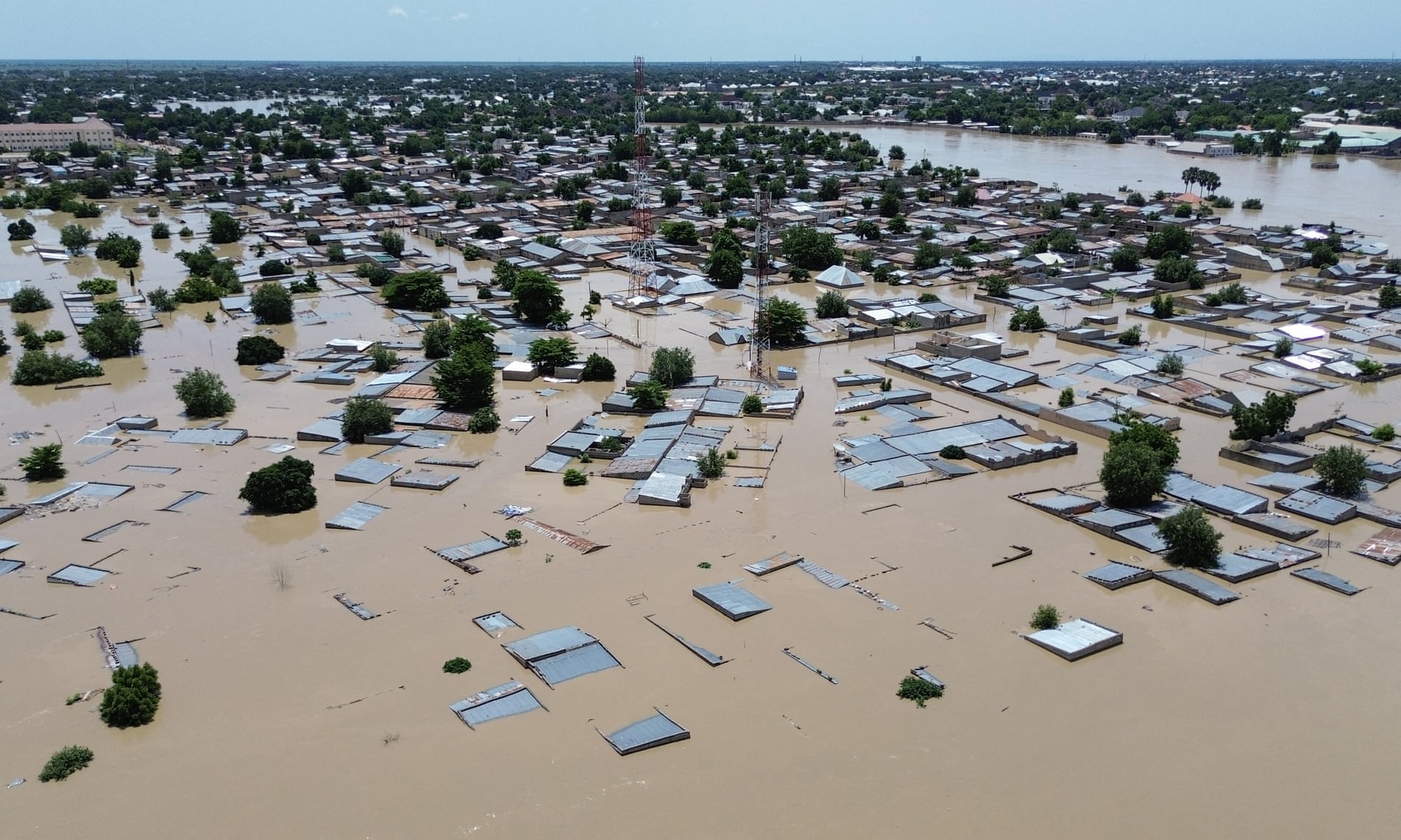 Nigeria : Des crocodiles et des serpents « envahissent les communautés » après les inondations