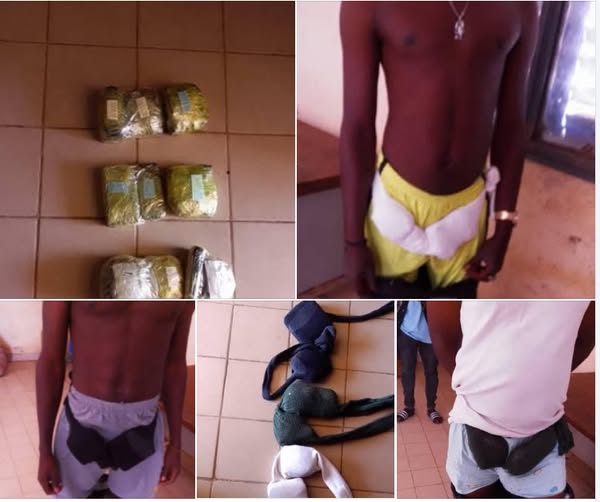 Burkina Faso : Trois individus arrêtés avec 28,6 kg d’or d’une valeur de 1,430 milliard F CFA