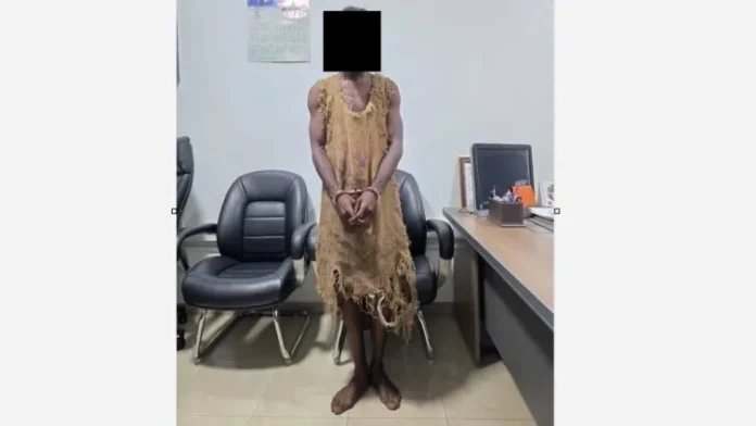 Ebo-Noah-arrest-1-753x424