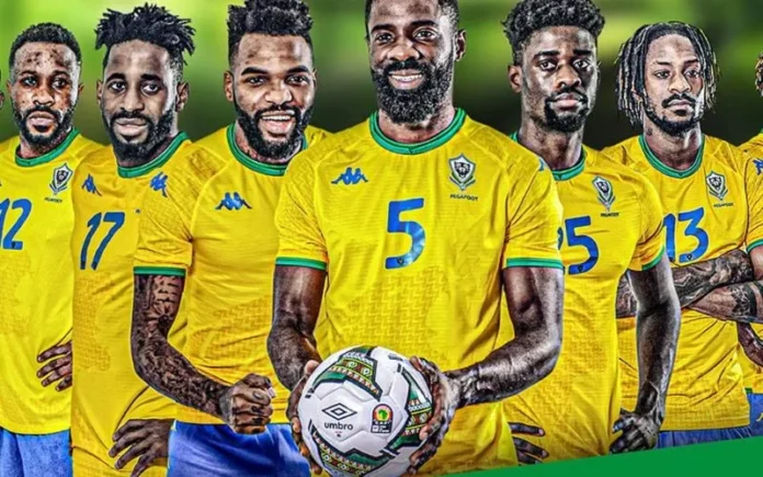 Gabon feu vert officiel pour le retour des Panthères