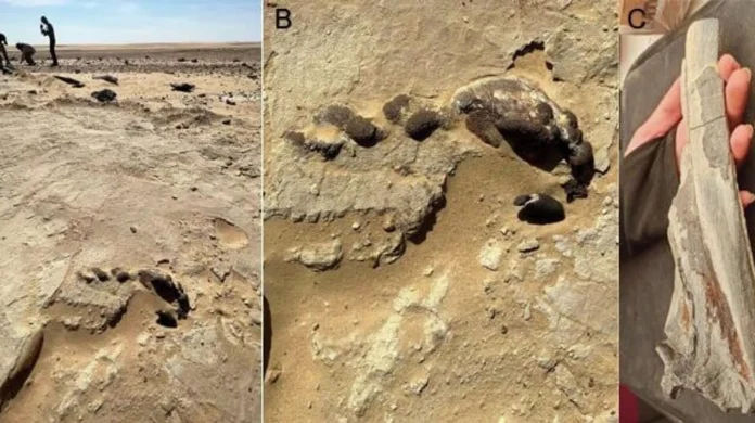 1083581232_41_0_679_359_1920x0_80_0_0_05392f9215fc8b1e1cceecc9f4b8789a